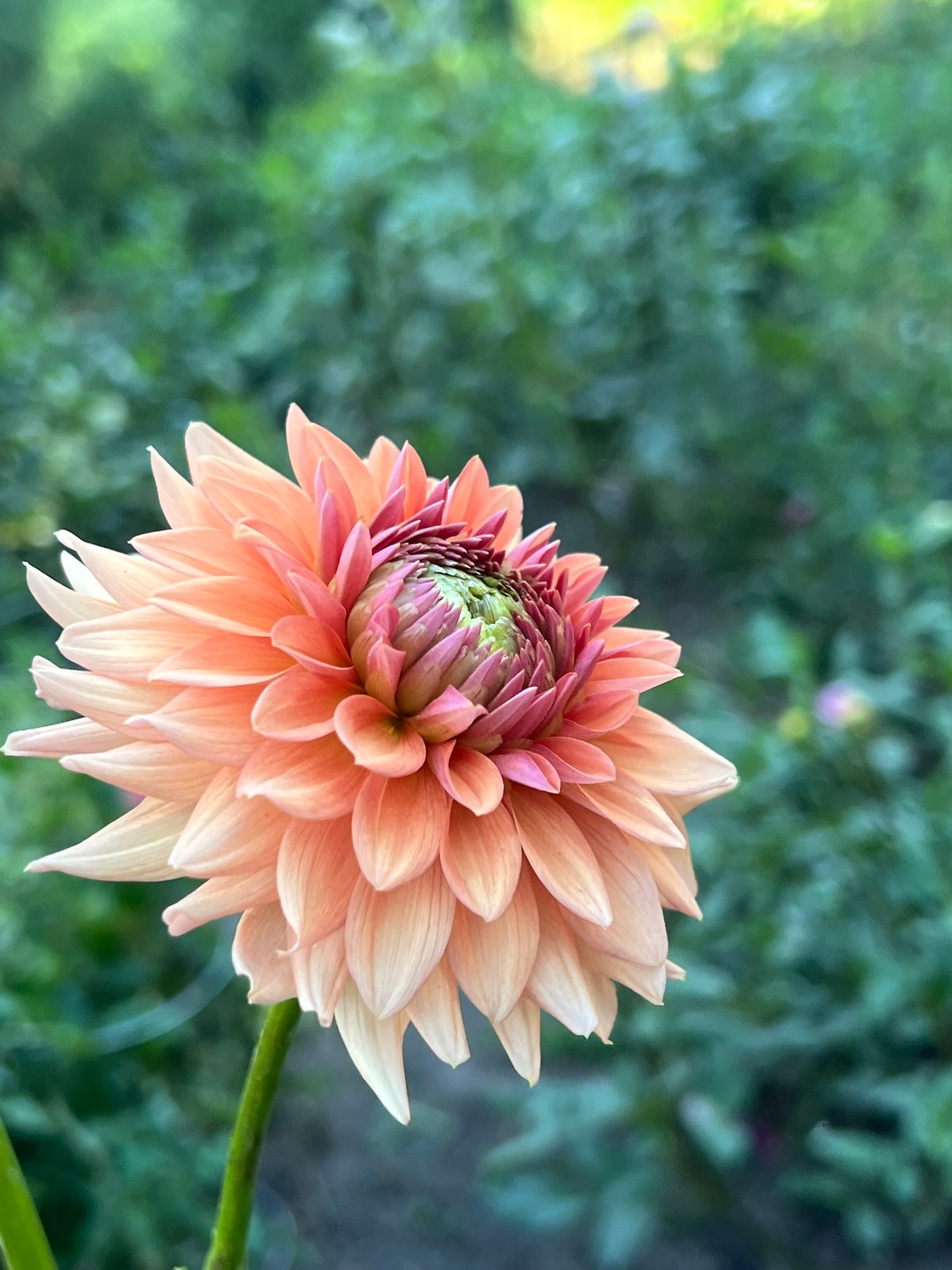 'RM Electrical' Tuber