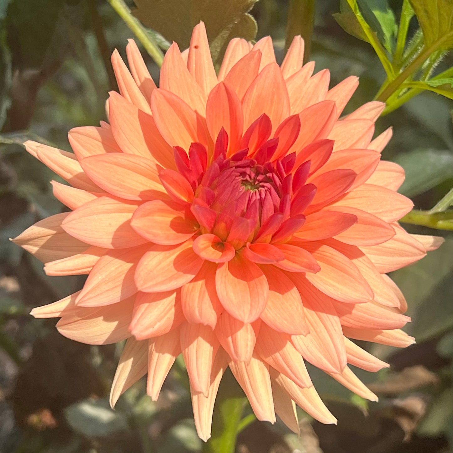 'RM Electrical' Tuber